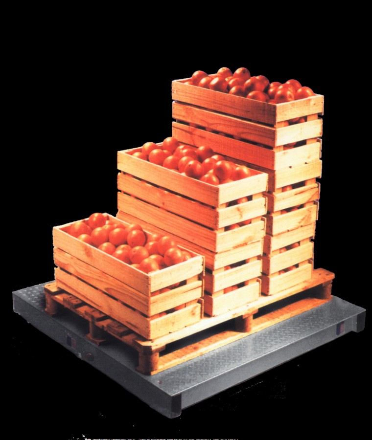 A&D ELP-3000 3000kg/1500kg x 1kg/0.5kg 1200mm x 1200mm Galvanised Pallet Scale + AD4406 Indicator (Pre-Calibrated & Verified)